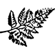 Logo Thumbnails