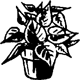 Logo Thumbnails