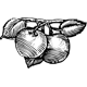 Logo Thumbnails