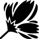 Logo Thumbnails