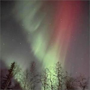 auroras
