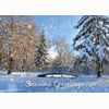Snow Scenes